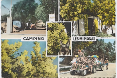 carte postale Camping Les Mimosas